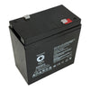 6V 42Ah SLA battery with T2 (0.250 inch) terminals
